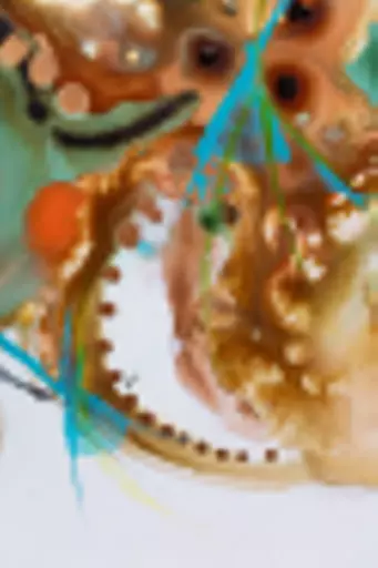 DSCF7241.jpg
