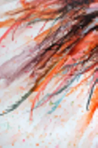 DSCF6781.jpg