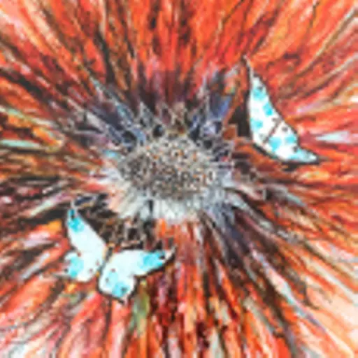 DSCF6783.jpg