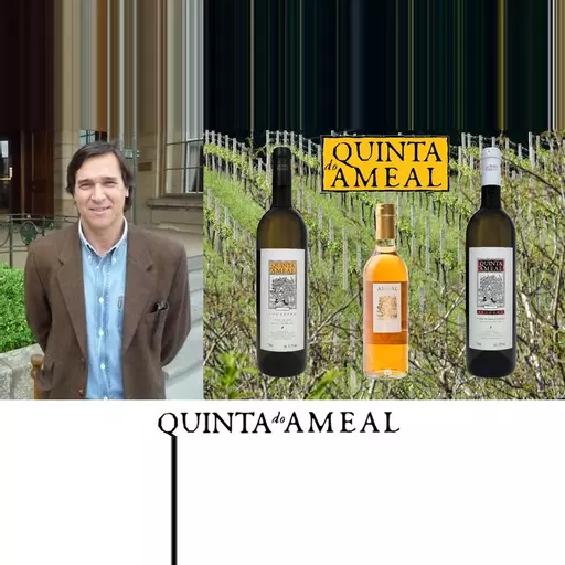 Producer Focus: Quinta do Ameal